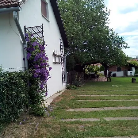 Kiad-lak - Szep Kartya Elfogado * Abádszalók